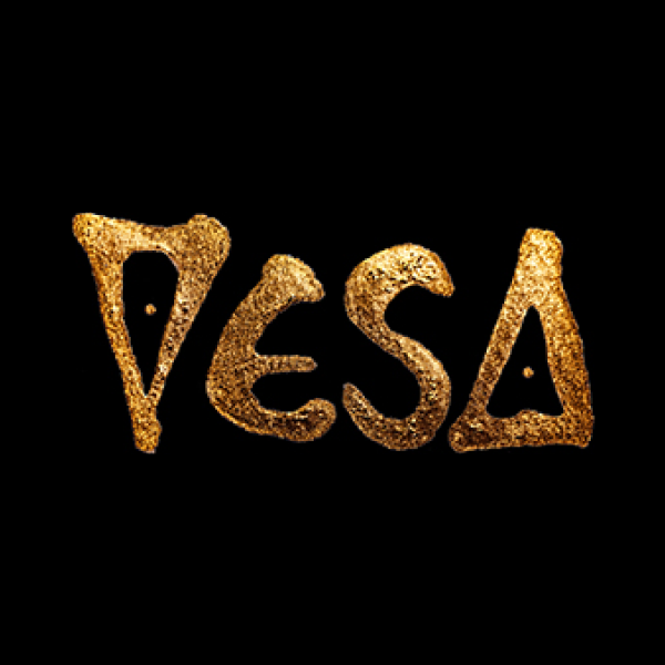 VESA Digital LLC