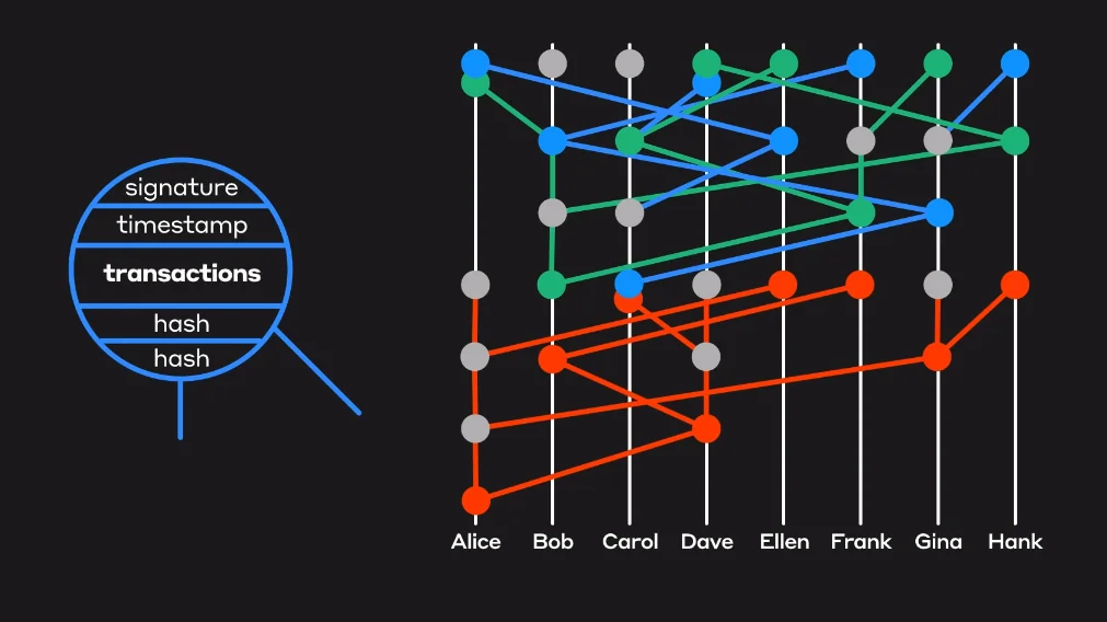 This pic describes the architecture of Hedera